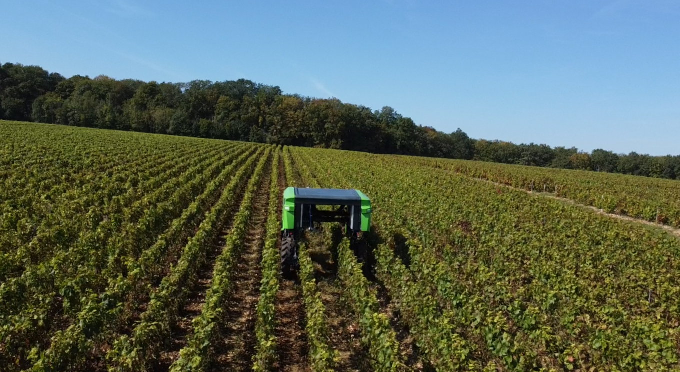 Polyvalence en viticulture