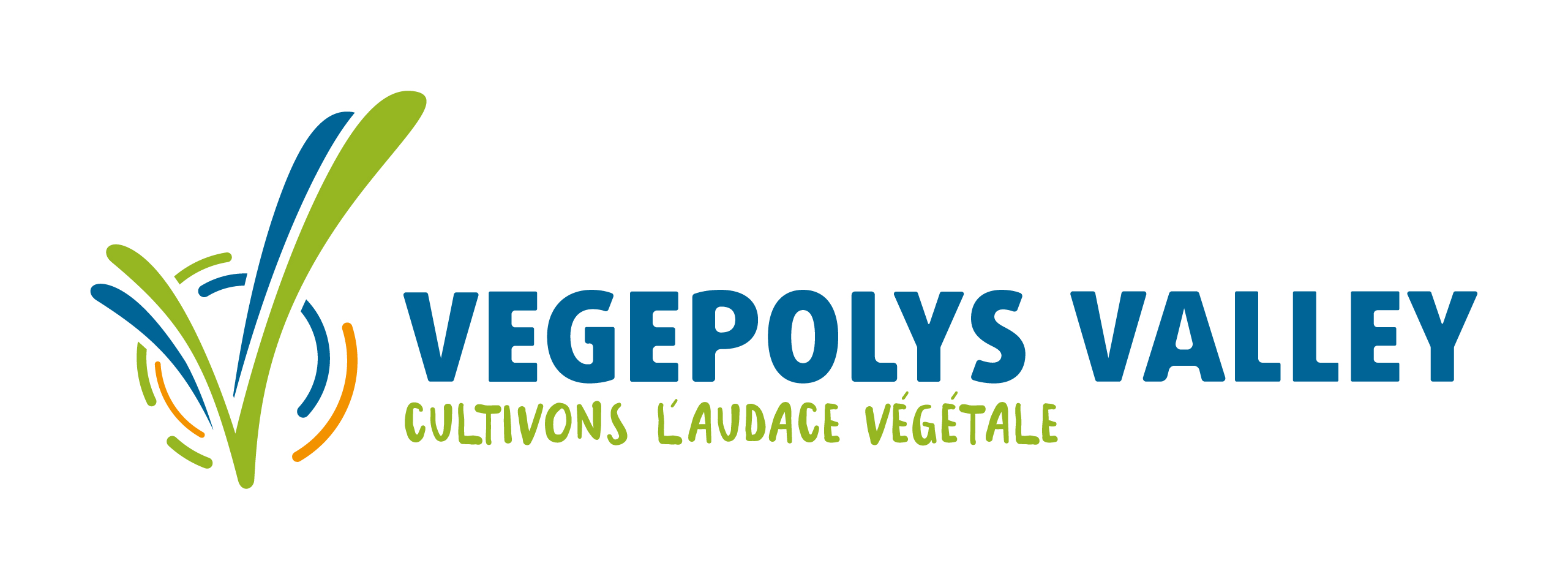 VEGPOLYS