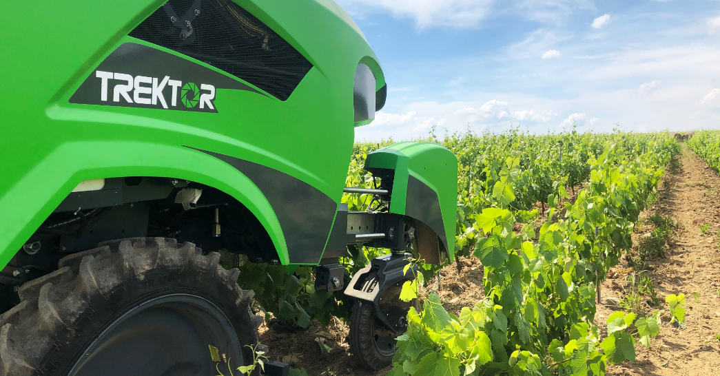 viticulture3_
