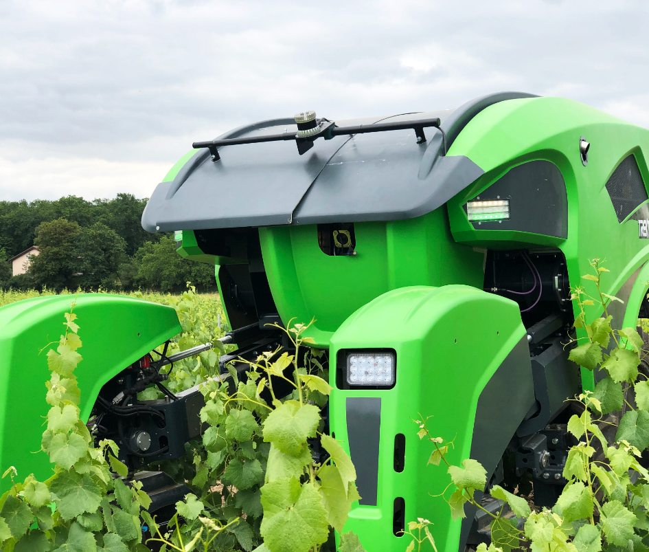 viticulture_enjmabuer 1rang4_